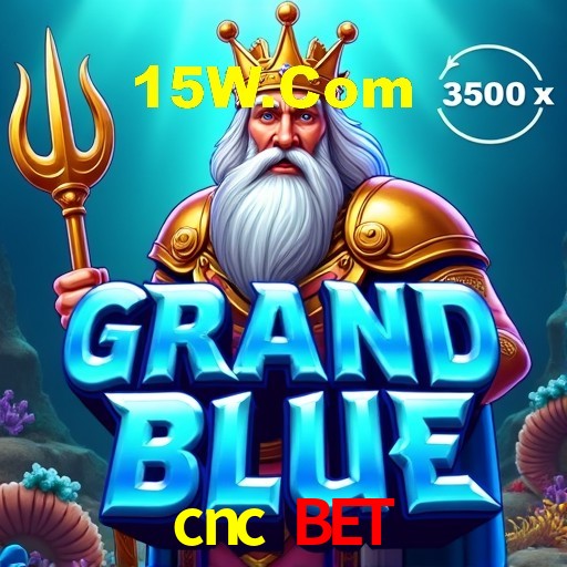 Interface Premium cnc bet