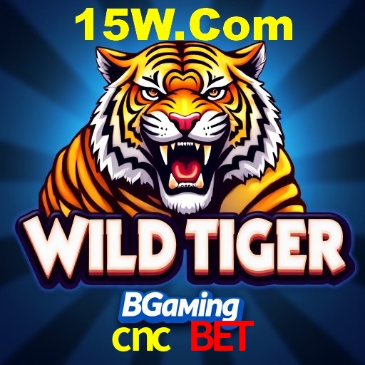 Descubra o Mundo do Cassino Online com cnc bet