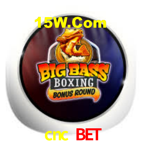 cnc bet: Seu Cassino Premiado com Pagamentos Rápidos