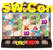 cnc bet login